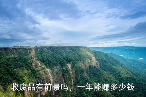 收廢品有前景嗎，一年能賺多少錢