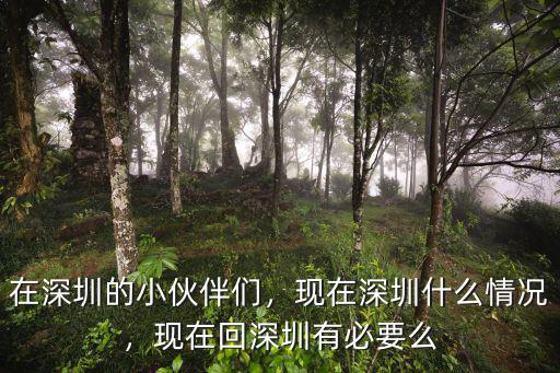 在深圳的小伙伴們，現在深圳什么情況，現在回深圳有必要么