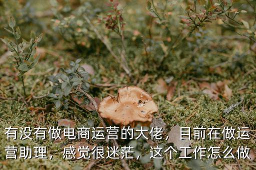 有沒有做電商運營的大佬，目前在做運營助理，感覺很迷茫，這個工作怎么做