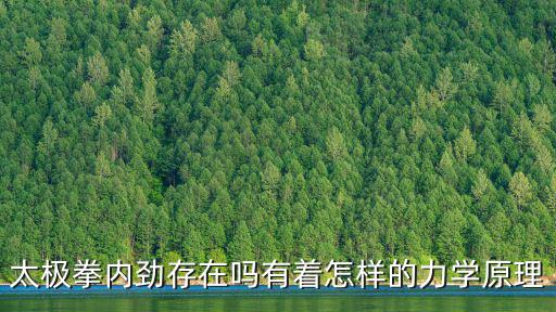 廣州天道內勁太極拳怎么樣,太極拳的內勁是怎么練出來的