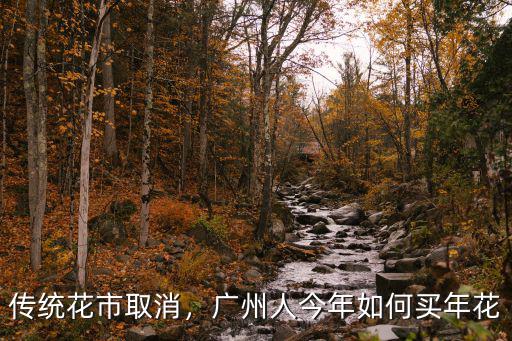 傳統花市取消，廣州人今年如何買年花
