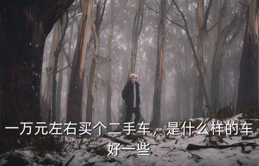 珠海哪里有一萬元以下的二手車,一萬元左右買個(gè)二手車