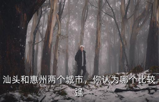 汕頭和惠州兩個城市，你認為哪個比較強