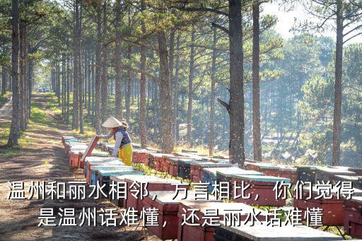 這個(gè)多少錢(qián)麗水話(huà)怎么說(shuō),麗水每月收入多少錢(qián)