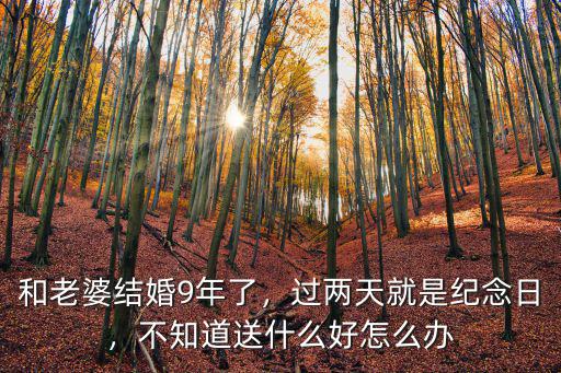 深圳 結婚紀念日 哪里過好,你們結婚紀念日都怎么過