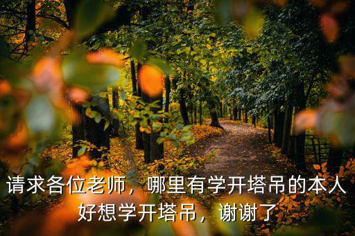 深圳學開塔吊的地方在哪里,想學開塔吊應該去哪里學