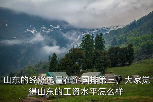 山東的經(jīng)濟(jì)總量在全國排第三，大家覺得山東的工資水平怎么樣