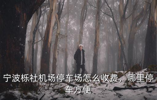 寧波櫟社機(jī)場(chǎng)停車(chē)場(chǎng)怎么收費(fèi)，哪里停車(chē)方便