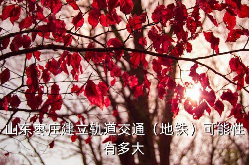 山東棗莊建立軌道交通（地鐵）可能性有多大
