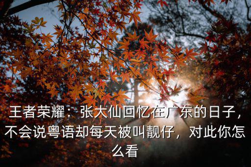 你個靚仔用廣東話怎么說,是真的說你靚仔