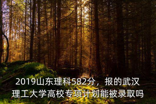 武漢大學在山東錄取分數(shù)線多少,2019山東理科582分