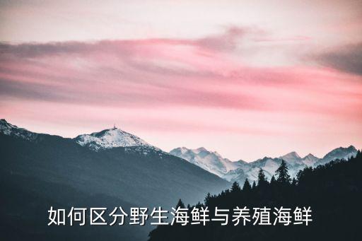 如何區(qū)分野生海鮮與養(yǎng)殖海鮮