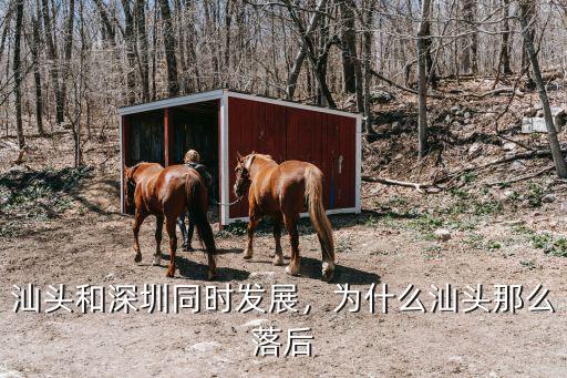 汕頭廈門經濟怎么樣,為什么汕頭那么落后