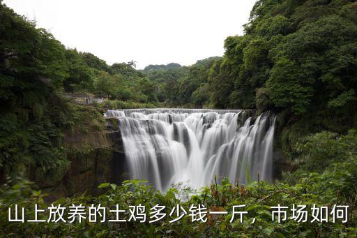 山上放養(yǎng)的土雞多少錢(qián)一斤，市場(chǎng)如何