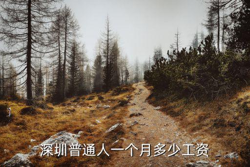 深圳普通人一個月多少工資