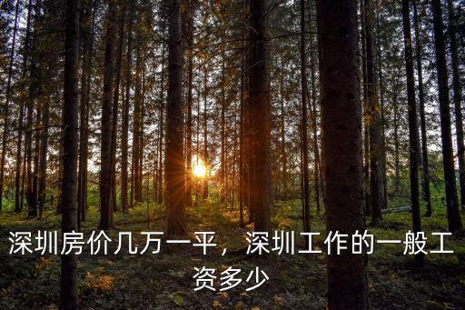 深圳房子那么貴工資多少,深圳房價幾萬一平