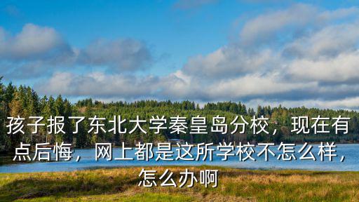 山東多少分能報東北大學秦皇島分校,東北大學秦皇島分校