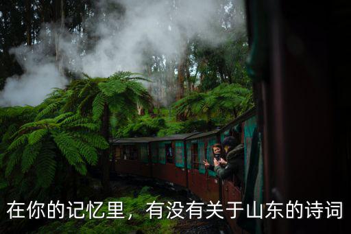 在你的記憶里，有沒有關于山東的詩詞