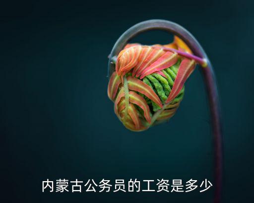 兩千年泰安的正科級干部工資多少,內蒙古公務員的工資是多少