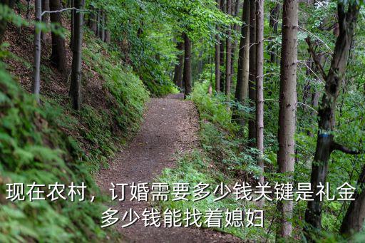 現在農村，訂婚需要多少錢關鍵是禮金多少錢能找著媳婦