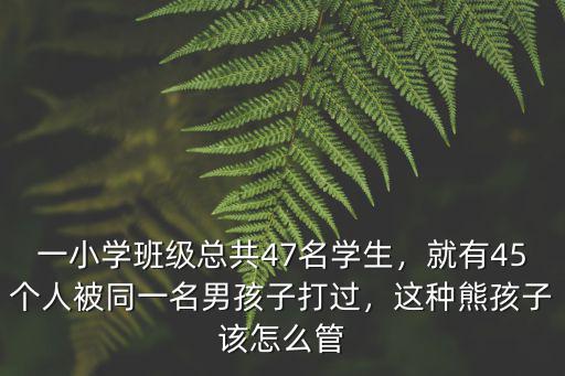 一小學班級總共47名學生，就有45個人被同一名男孩子打過，這種熊孩子該怎么管
