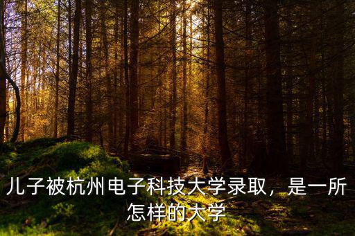 兒子被杭州電子科技大學錄取，是一所怎樣的大學