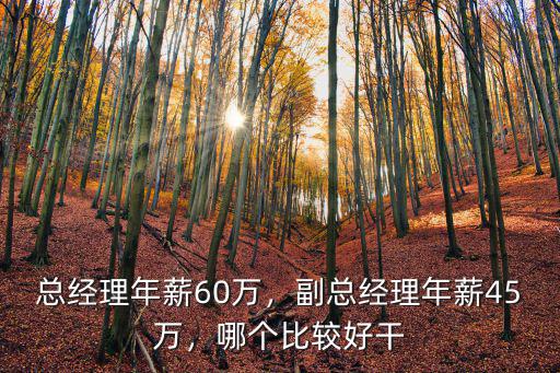 總經理年薪60萬，副總經理年薪45萬，哪個比較好干