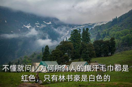 林書豪是廣東哪里人,只有林書豪是白色的