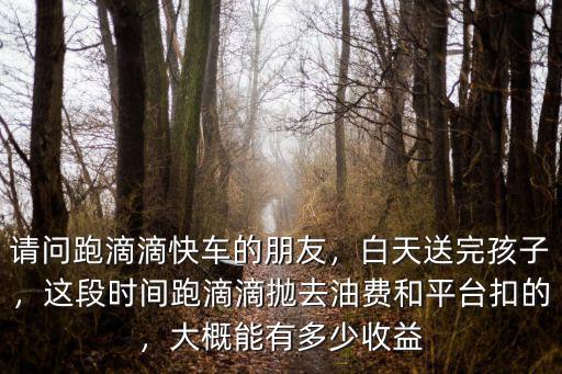 請問跑滴滴快車的朋友，白天送完孩子，這段時間跑滴滴拋去油費(fèi)和平臺扣的，大概能有多少收益