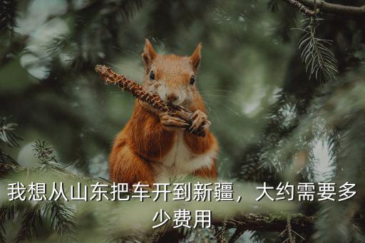 開車從泗洪到山東得多少錢,我想從山東把車開到新疆