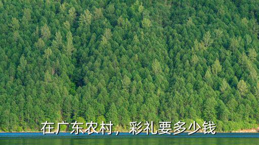 在廣東農(nóng)村，彩禮要多少錢