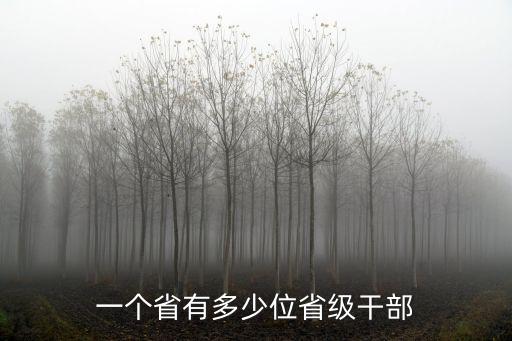 廣東省正處級干部有多少人,一個省有多少位省級干部