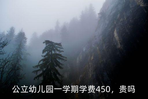 公立幼兒園一學期學費450，貴嗎