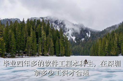 畢業四年多的軟件工程本科生，在深圳拿多少工資才合適