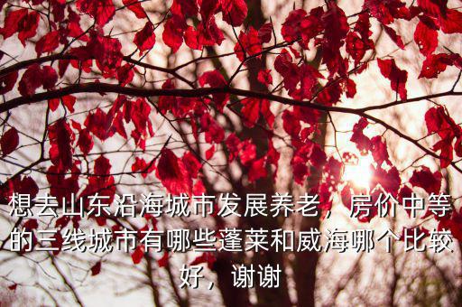 想去山東沿海城市發(fā)展養(yǎng)老，房?jī)r(jià)中等的三線城市有哪些蓬萊和威海哪個(gè)比較好，謝謝