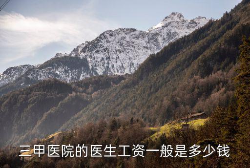 三甲醫(yī)院的醫(yī)生工資一般是多少錢