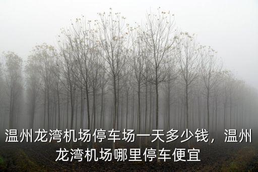 溫州龍灣機場停車場多少一個小時,溫州龍灣機場停車怎么收費