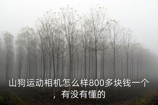 山狗運(yùn)動相機(jī)怎么樣800多塊錢一個，有沒有懂的
