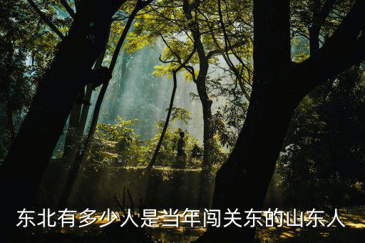 東三省多少萬(wàn)山東人,東北人中有多少山東人的后代