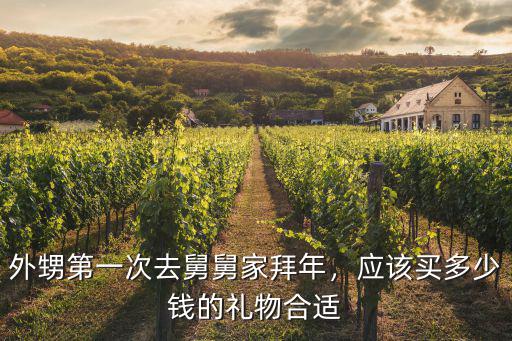 溫州舅舅給外甥壓歲錢多少,外甥第一次去舅舅家拜年