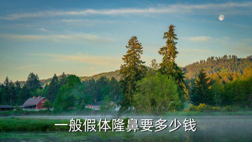 惠州假體隆鼻多少錢,一般假體隆鼻要多少錢