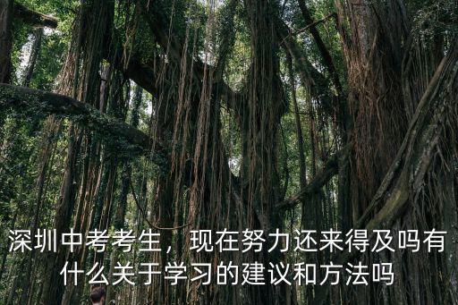 深圳中考考生，現在努力還來得及嗎有什么關于學習的建議和方法嗎
