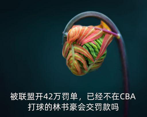 被聯(lián)盟開42萬罰單，已經(jīng)不在CBA打球的林書豪會(huì)交罰款嗎