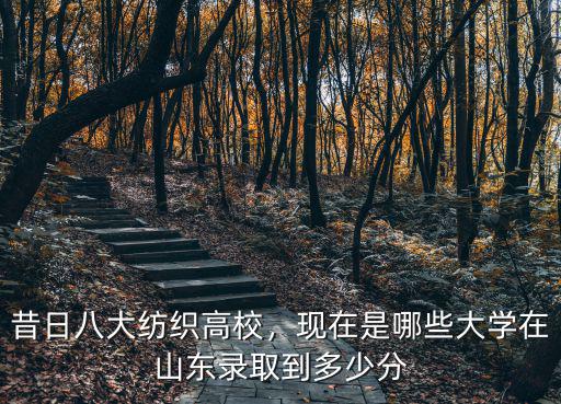 昔日八大紡織高校，現在是哪些大學在山東錄取到多少分