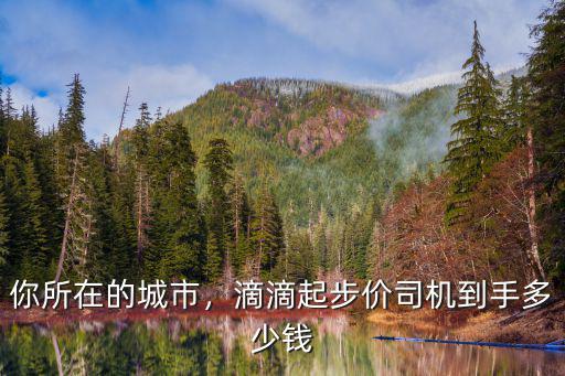 你所在的城市，滴滴起步價司機到手多少錢