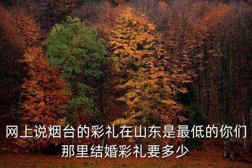 網上說煙臺的彩禮在山東是最低的你們那里結婚彩禮要多少