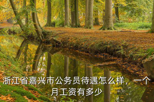 浙江嘉興市的輔警工資每月多少啊,大專輔警一般工資多少