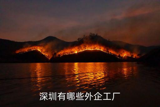 深圳有哪些外企工廠