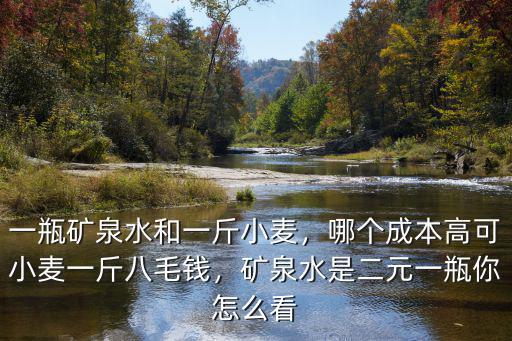 一瓶礦泉水和一斤小麥，哪個成本高可小麥一斤八毛錢，礦泉水是二元一瓶你怎么看