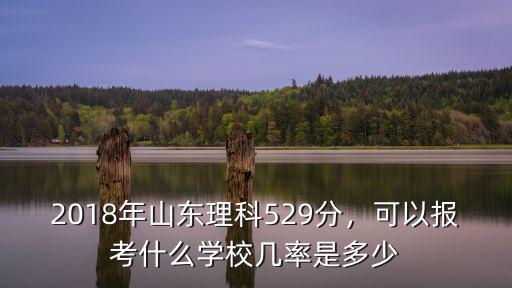 2018年山東理科529分，可以報考什么學校幾率是多少